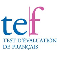 page2 42 DFL TEF logo 1